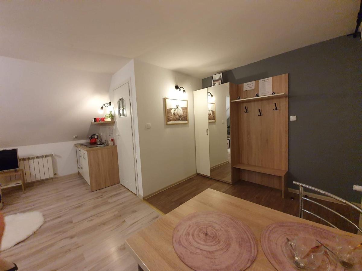 Apartament Jaskier ซาโกปาเน ภายนอก รูปภาพ
